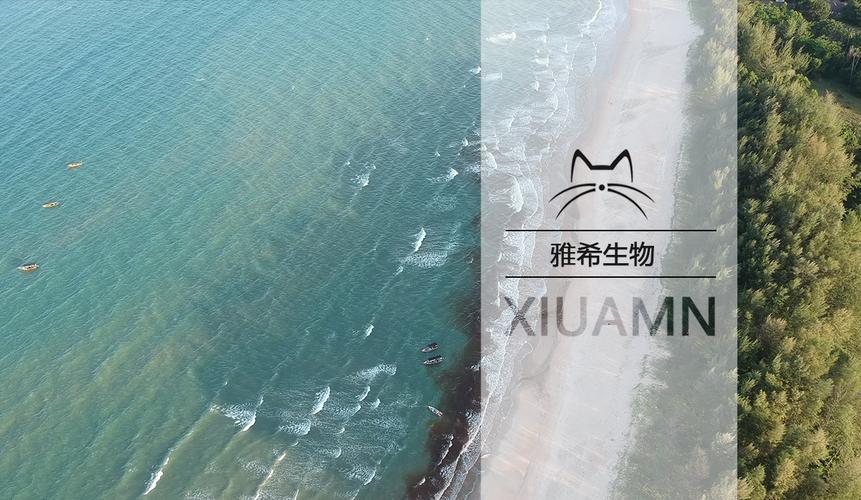 李阳阳,公司经营范围包括:一般项目:生物基材料技术研发