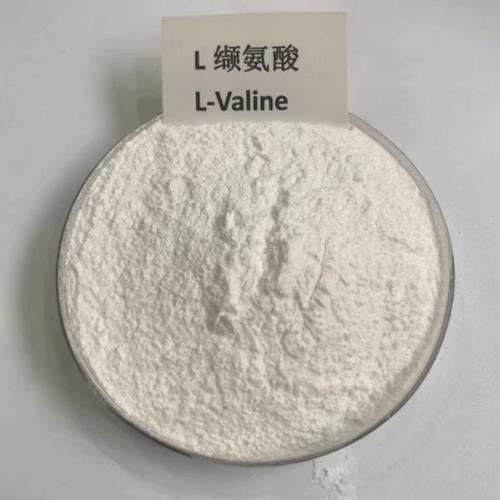 经营活动,具体经营项目以审批结果为准) 一般项目:生物基材料技术研发